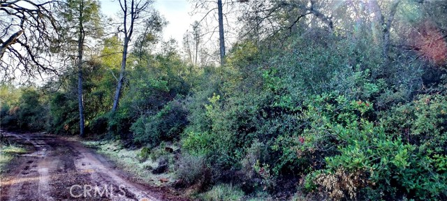 15151 Gray Pine Road, Lower Lake