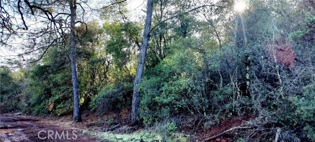 15151 Gray Pine Road, Lower Lake