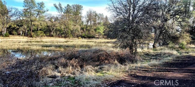 15151 Gray Pine Road, Lower Lake