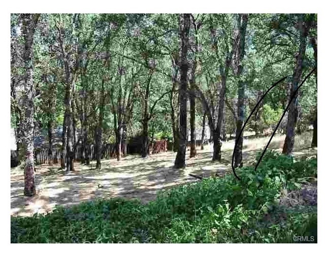 7891 Soda Bay Road, Kelseyville