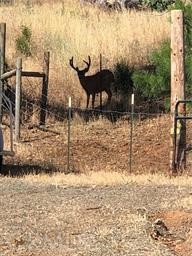 15000 Myers Way, Cobb