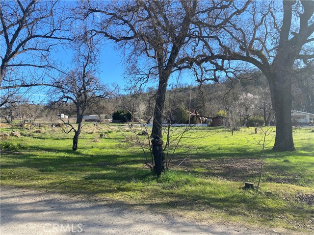 16387 Daly Street, Lower Lake