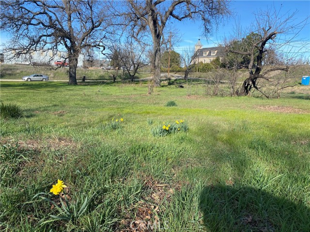 16387 Daly Street, Lower Lake