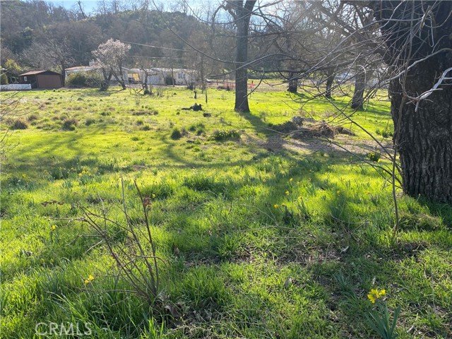 16387 Daly Street, Lower Lake