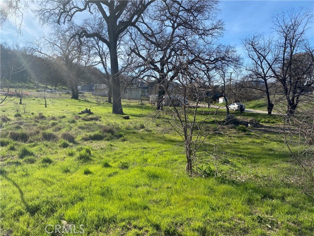 16387 Daly Street, Lower Lake