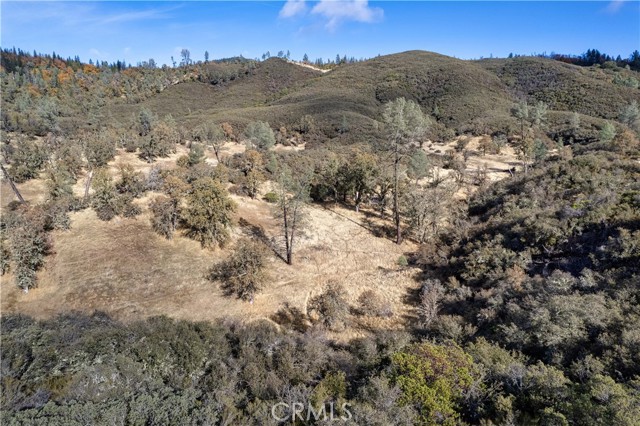 8360 Sulphur Creek Road, Loch Lomond