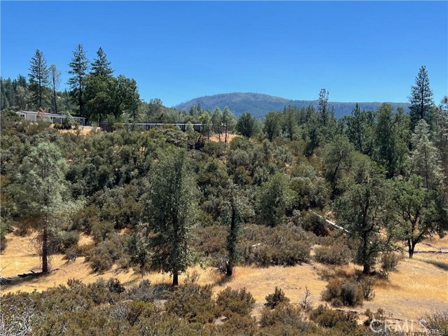 8360 Sulphur Creek Road, Loch Lomond