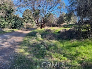 14212 Woodland Drive, Clearlake