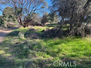 14212 Woodland Drive, Clearlake