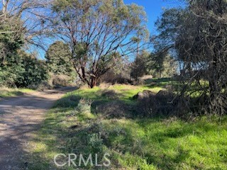 14212 Woodland Drive, Clearlake