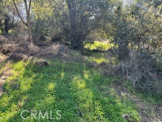 14212 Woodland Drive, Clearlake