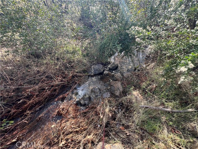 16090 Maple Street, Cobb