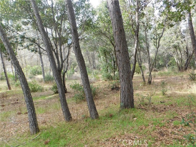 5834 Spruce Avenue, Clearlake