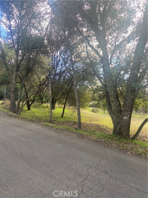 7005 Marin Street, Nice