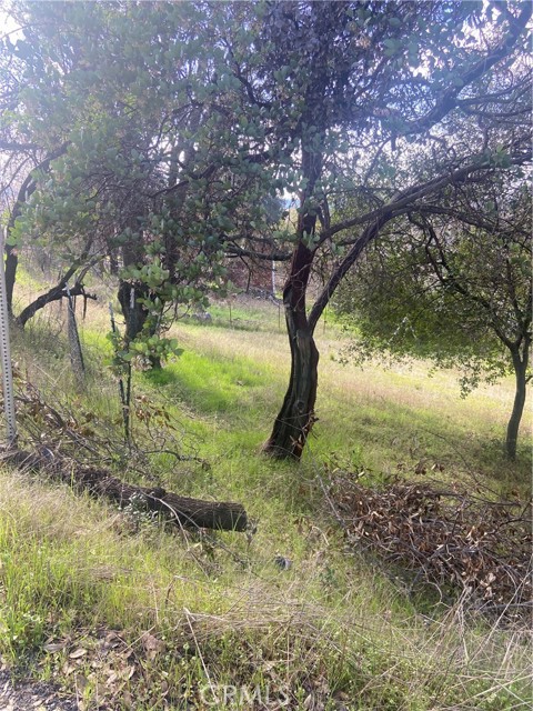 7005 Marin Street, Nice