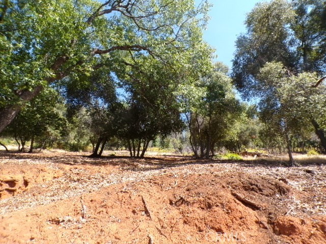 3178 Skyline Drive, Kelseyville