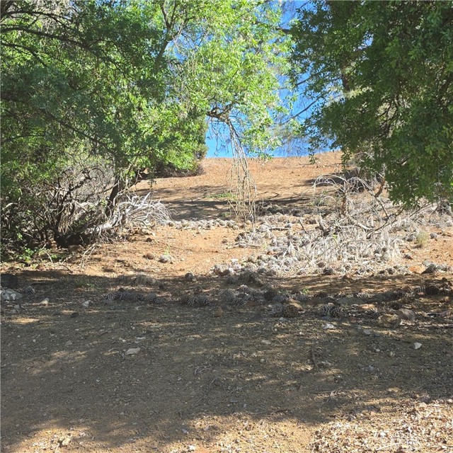 13477 Arrowhead Road, Clearlake