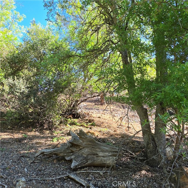 13477 Arrowhead Road, Clearlake