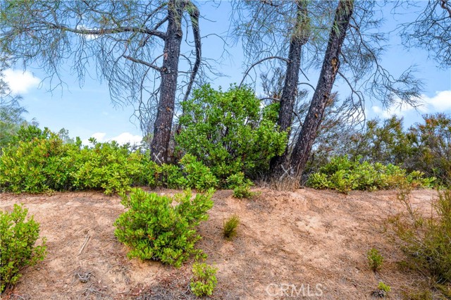 12220 Cerrito Drive, Clearlake Oaks