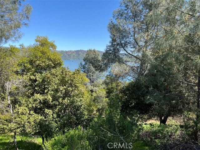 8452 Soda Bay Road, Kelseyville