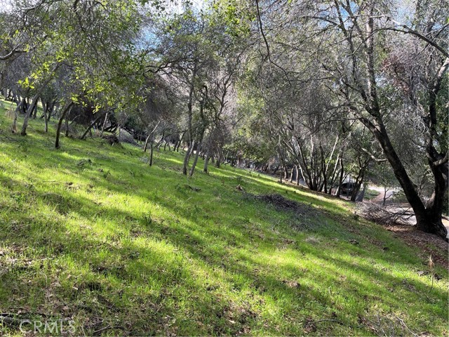 8452 Soda Bay Road, Kelseyville
