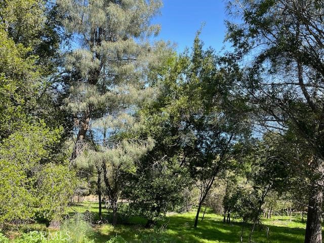 8444 Soda Bay Road, Kelseyville