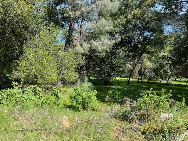 8444 Soda Bay Road, Kelseyville