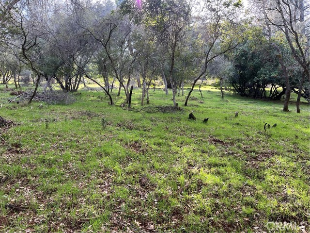 8444 Soda Bay Road, Kelseyville