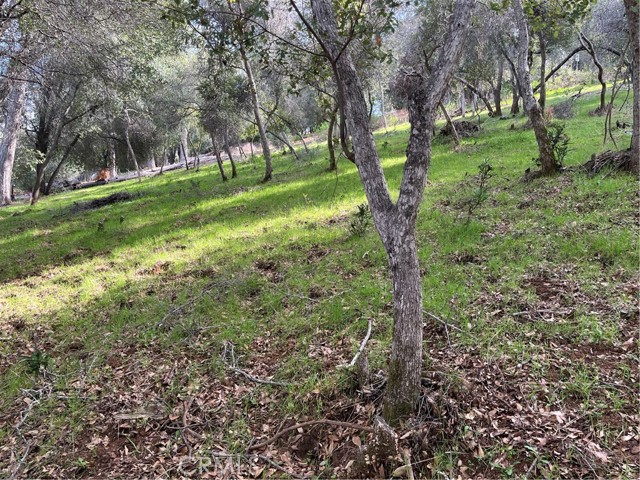 8444 Soda Bay Road, Kelseyville