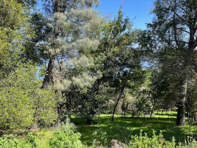 8444 Soda Bay Road, Kelseyville