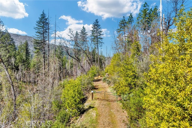 12061 Gifford Springs Road, Cobb