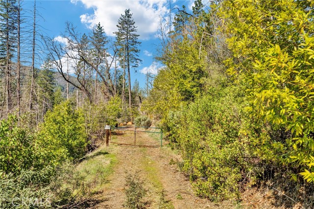 12061 Gifford Springs Road, Cobb