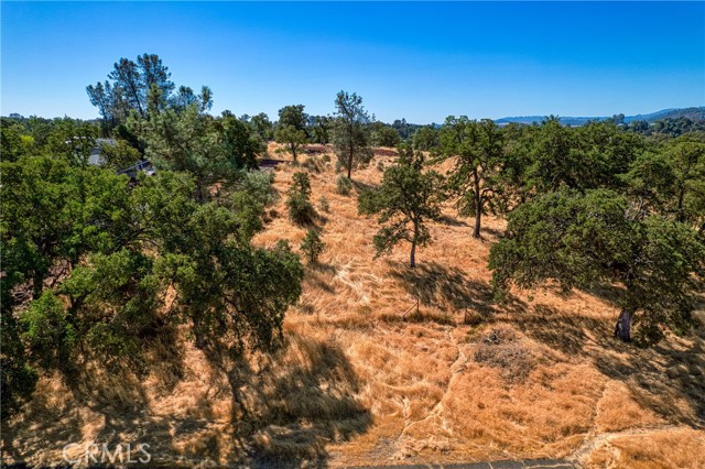 3595 Old Highway 53, Clearlake