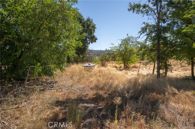 3595 Old Highway 53, Clearlake
