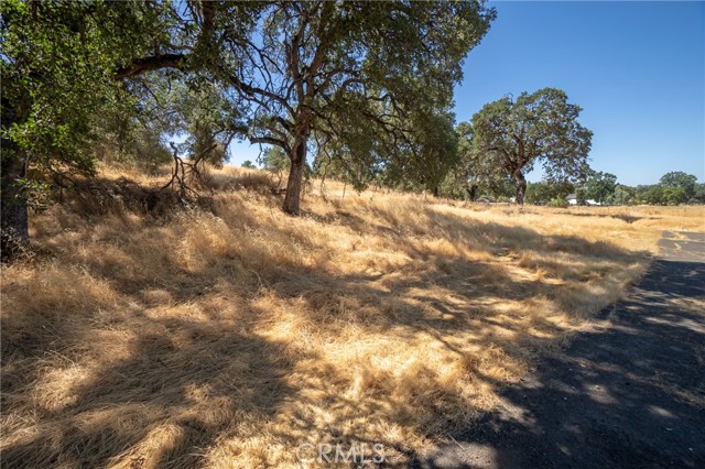 3595 Old Highway 53, Clearlake