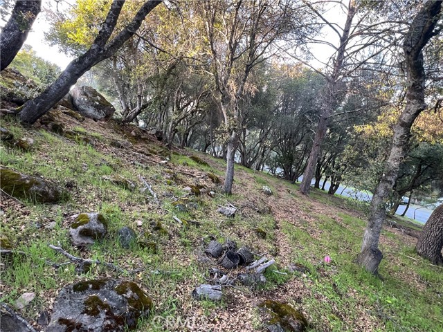 4730 Kah Bel Trail, Kelseyville