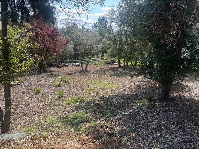 8278 N Heights Drive, Kelseyville
