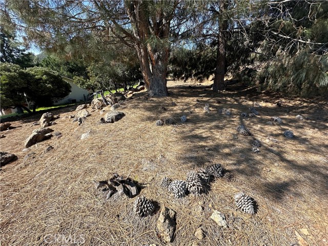 3575 Shoreline View Way, Kelseyville