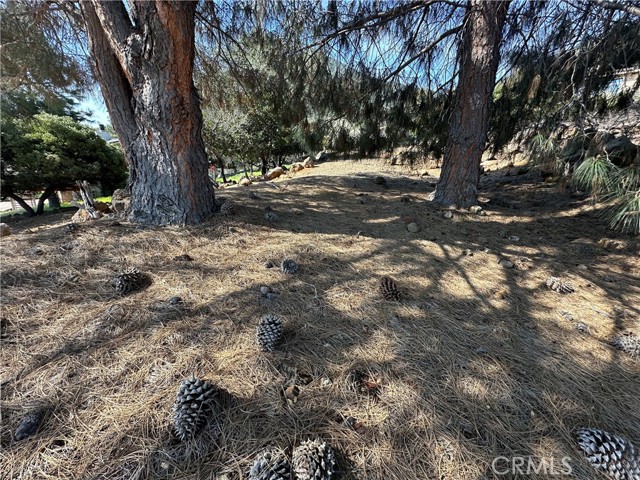 3575 Shoreline View Way, Kelseyville