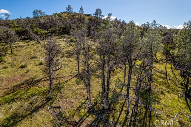 23523 Morgan Valley Road, Lower Lake