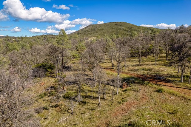 23523 Morgan Valley Road, Lower Lake