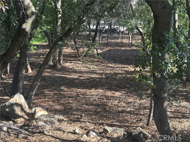 3470 Shoreline View Way, Kelseyville