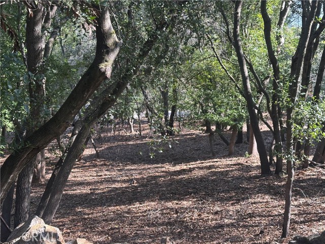 3470 Shoreline View Way, Kelseyville