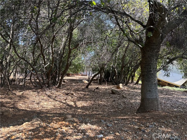8310 Mountain Crest Drive, Kelseyville