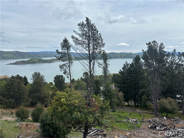 3382 Pine Terrace Drive, Kelseyville