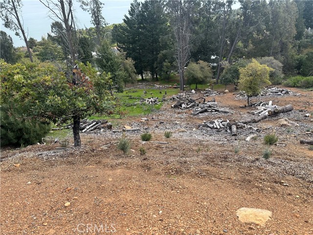 3382 Pine Terrace Drive, Kelseyville