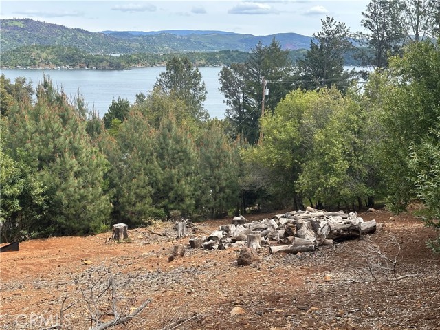 3510 Knob Cone Drive, Kelseyville