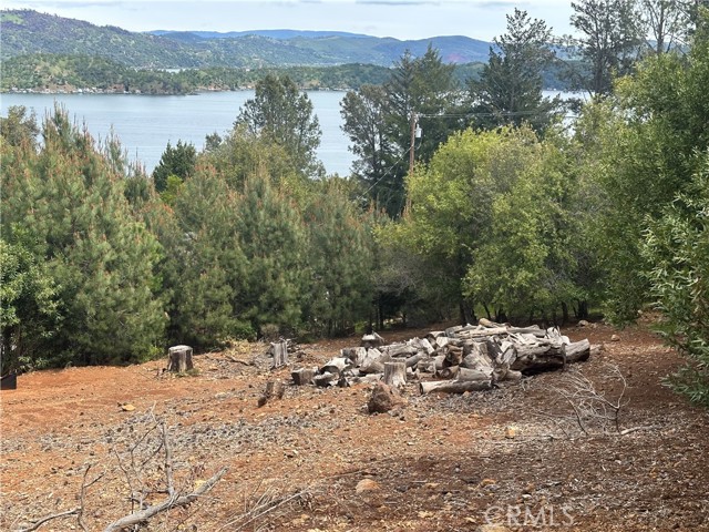3510 Knob Cone Drive, Kelseyville