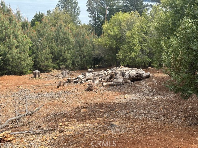 3510 Knob Cone Drive, Kelseyville
