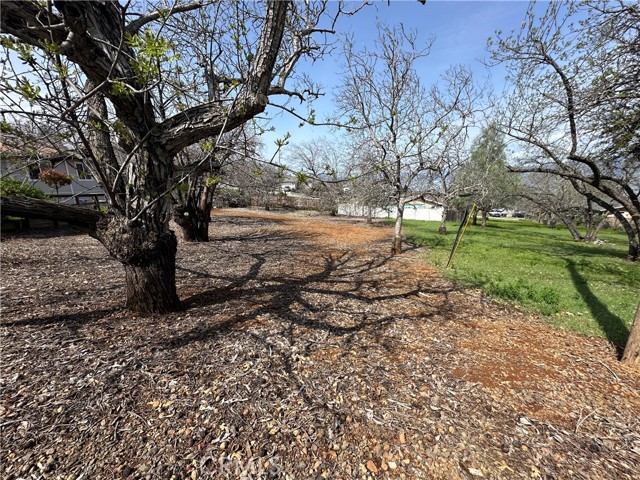 3165 Marina View Drive, Kelseyville
